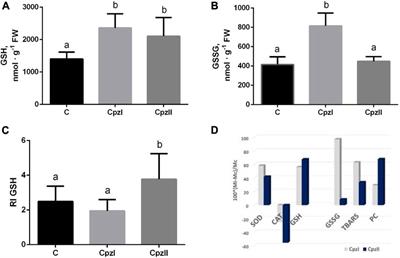 Cellular and oxidative stress responses of Mytilus galloprovincialis to chlorpromazine: implications of an antipsychotic drug exposure study